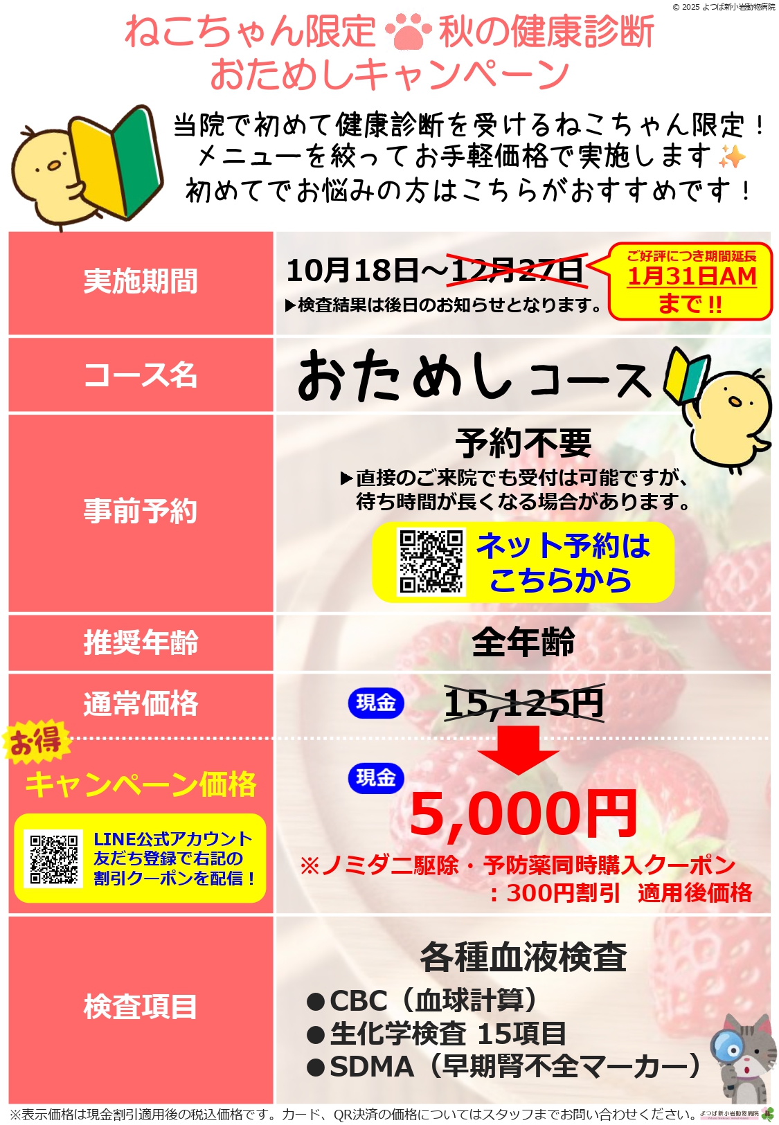 猫の健康診断キャンペーンチラシ画像