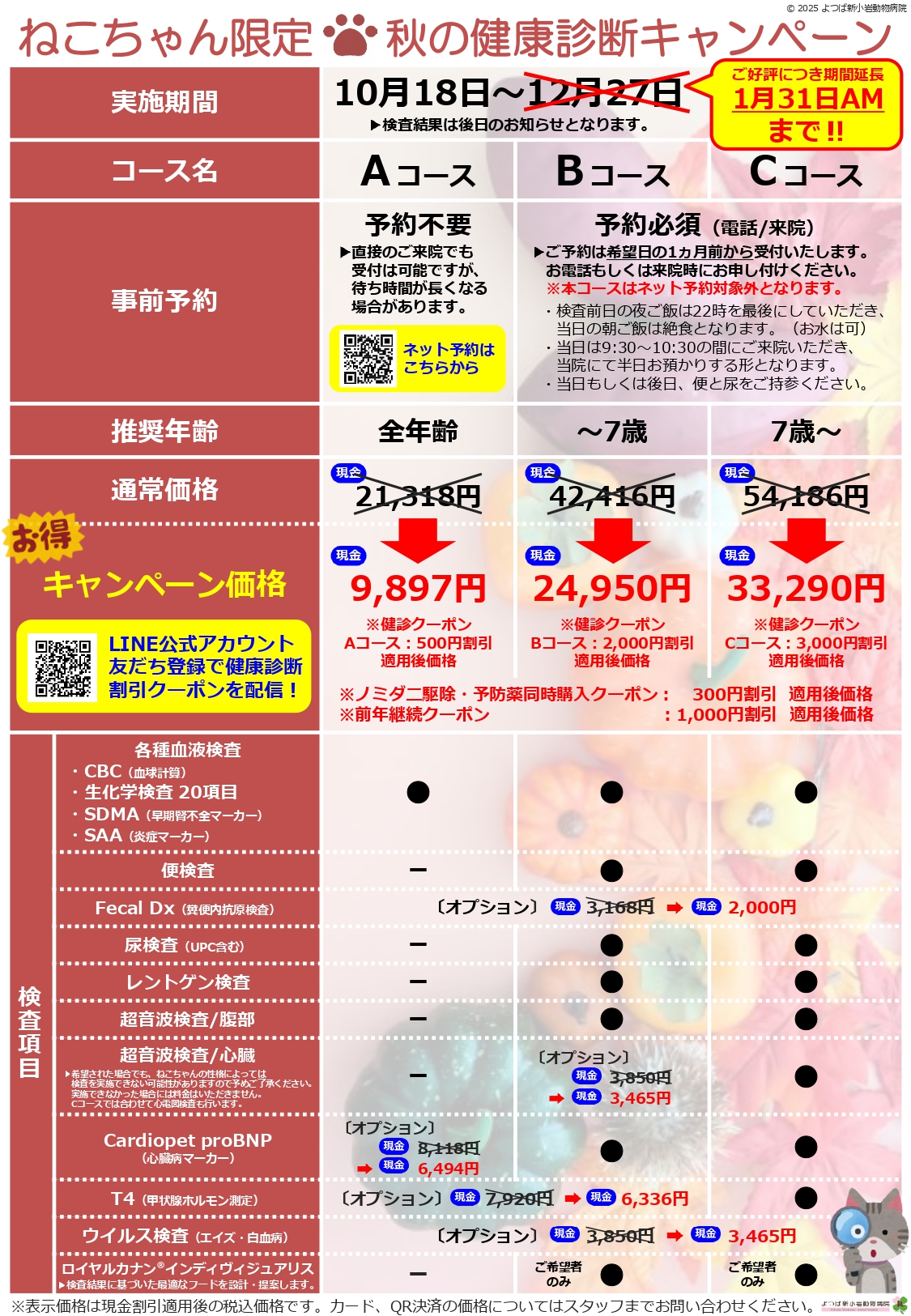 猫の健康診断キャンペーンチラシ画像