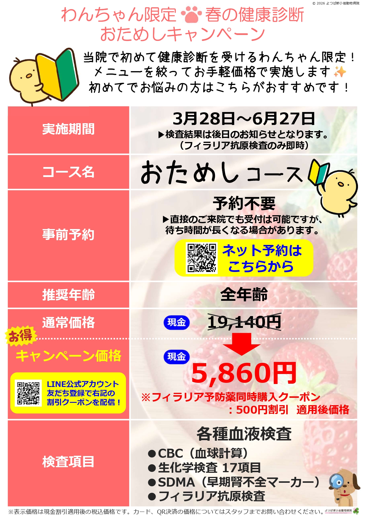 犬の健康診断おためしキャンペーンチラシ画像